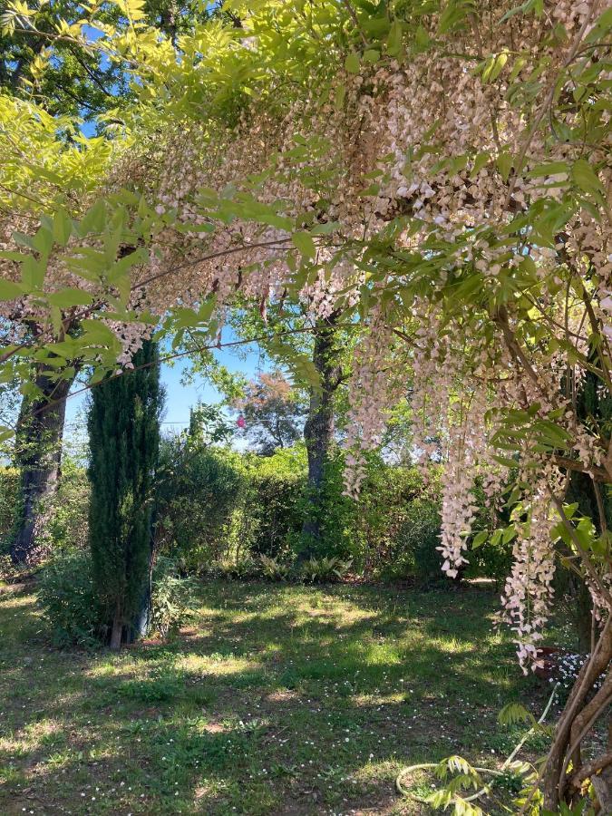 Tenuta Poggio Alla Farnia Fauglia Eksteriør bilde